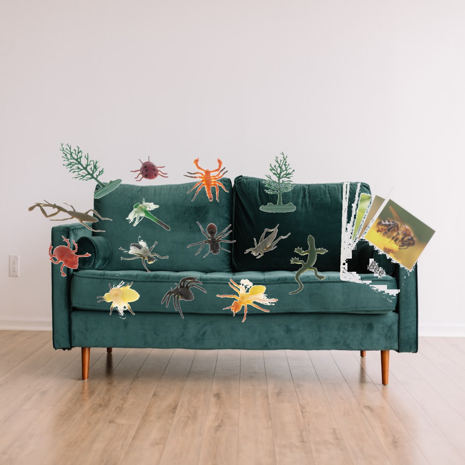 Science Nature - Montessori dierenfiguren met flitskaarten Montessori-materiaal voor