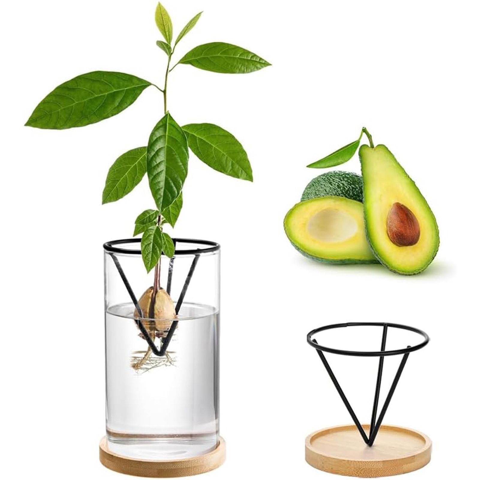1Set Avocado Boom Groeiende Ki - Crystal Growing Kit recensie en prijs
