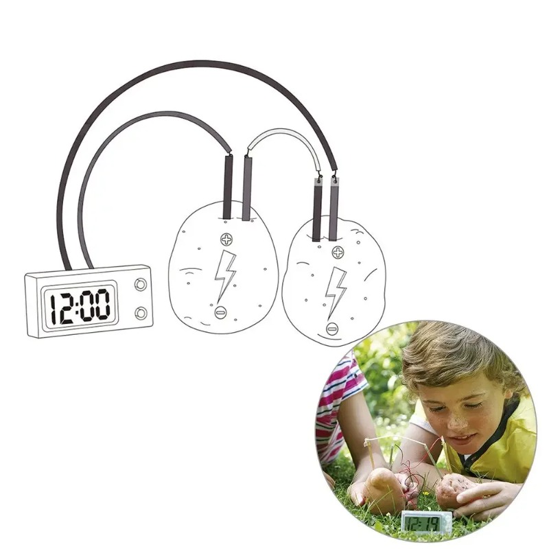 Nieuw Montessori-speelgoed voo - Science Nature recensie en prijs