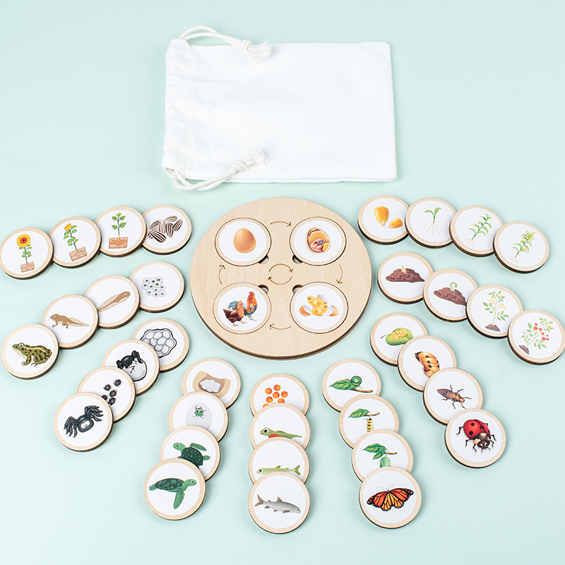 Levenscyclusbord Montessori Ki - Science Nature recensie en prijs