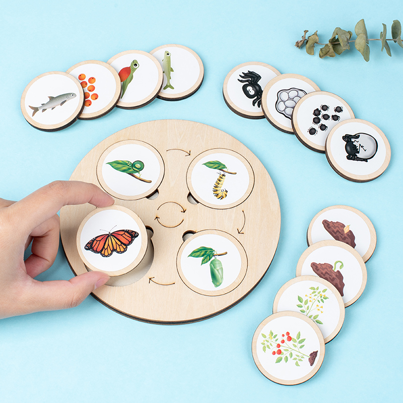 Levenscyclusbord Montessori Ki - Science Nature recensie en prijs